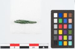 Foto von Bronzering (NHMW-PRAE-024226)
